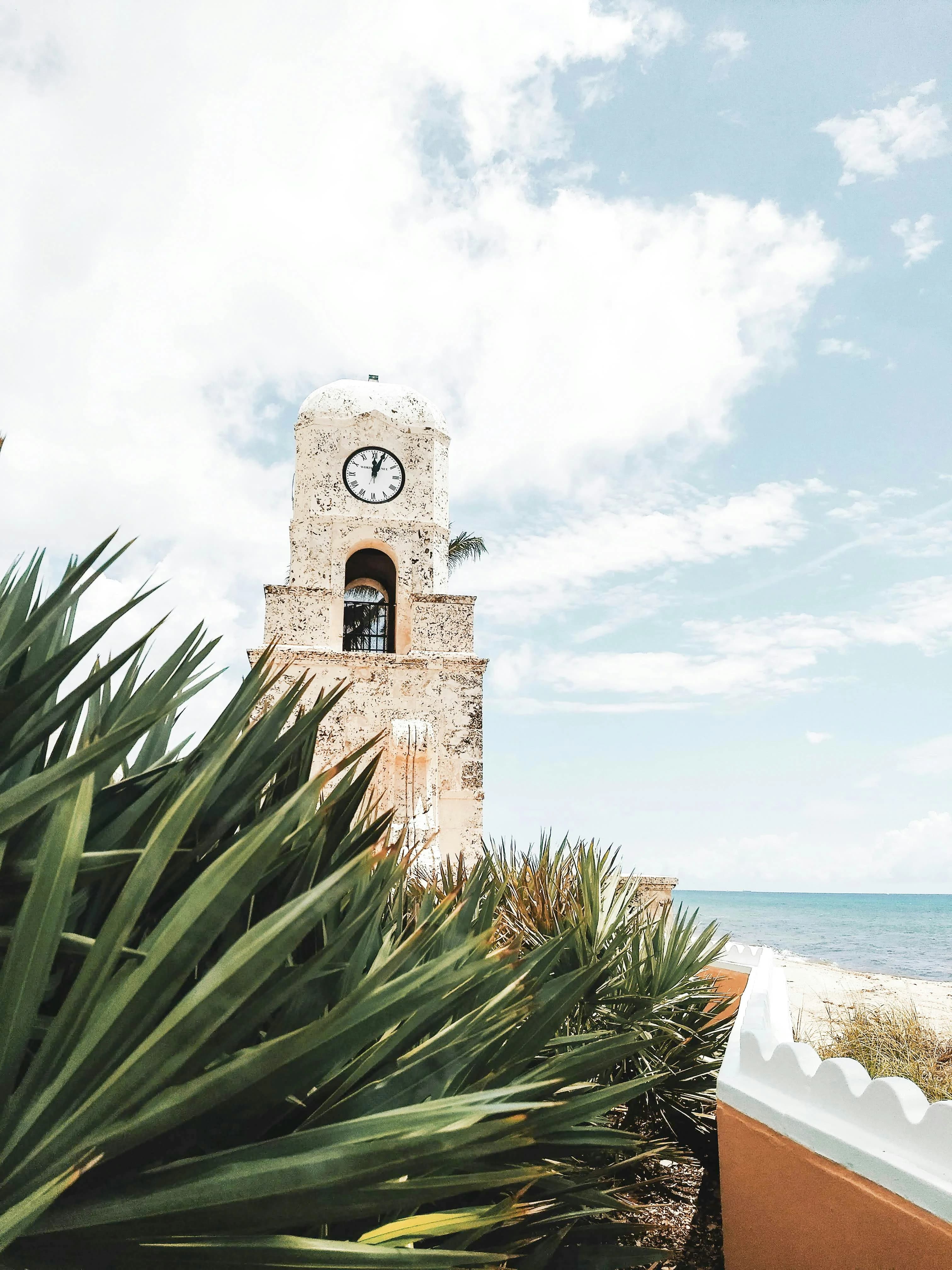 A clock tower on the coast with green plants in the foreground