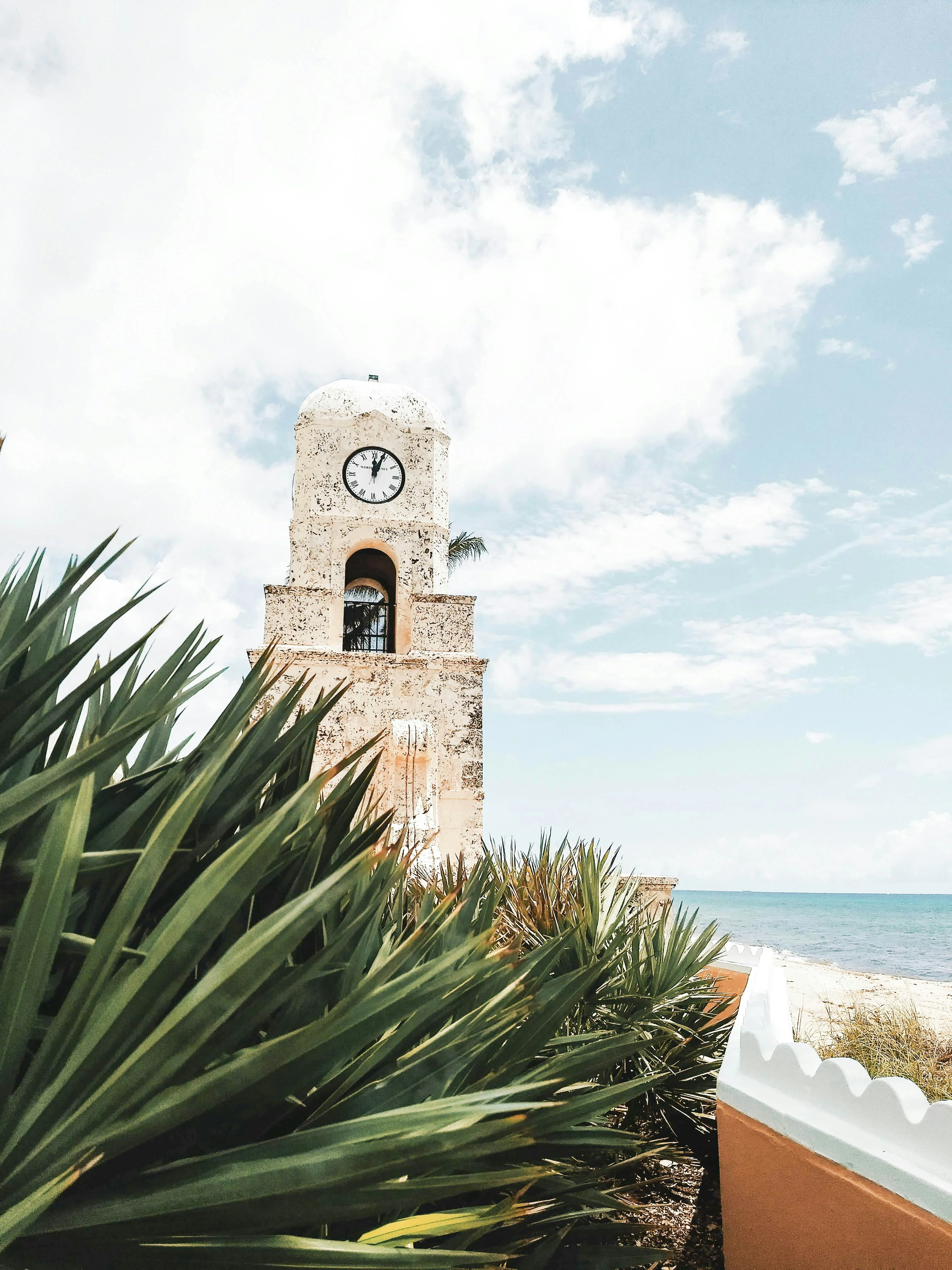 A clock tower on the coast with green plants in the foreground
